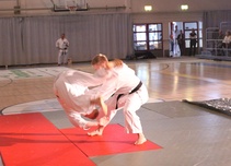 Lennokasta menoa 20-vuotisnäytöksessä.