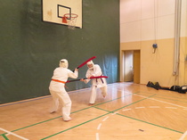 Pehmobo ottelua Tammelassa 2016