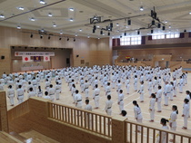 N. 250 Goju-Ryu karatekaa ympäri maailmaan kaikilta mantereilta.