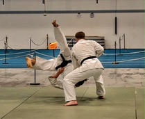 Kotae Expon näytöksessaä karate heitto. Kuva:@Trema