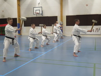 Chishi treenit Lempäälässä keväällä 2024